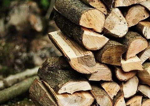 РЕАЛИЗАЦИЯ ДРОВ НАСЕЛЕНИЮ